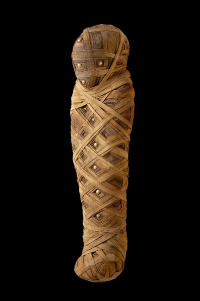 ミイラ化した子供（リネン、ゴールド） 作： Egyptian
